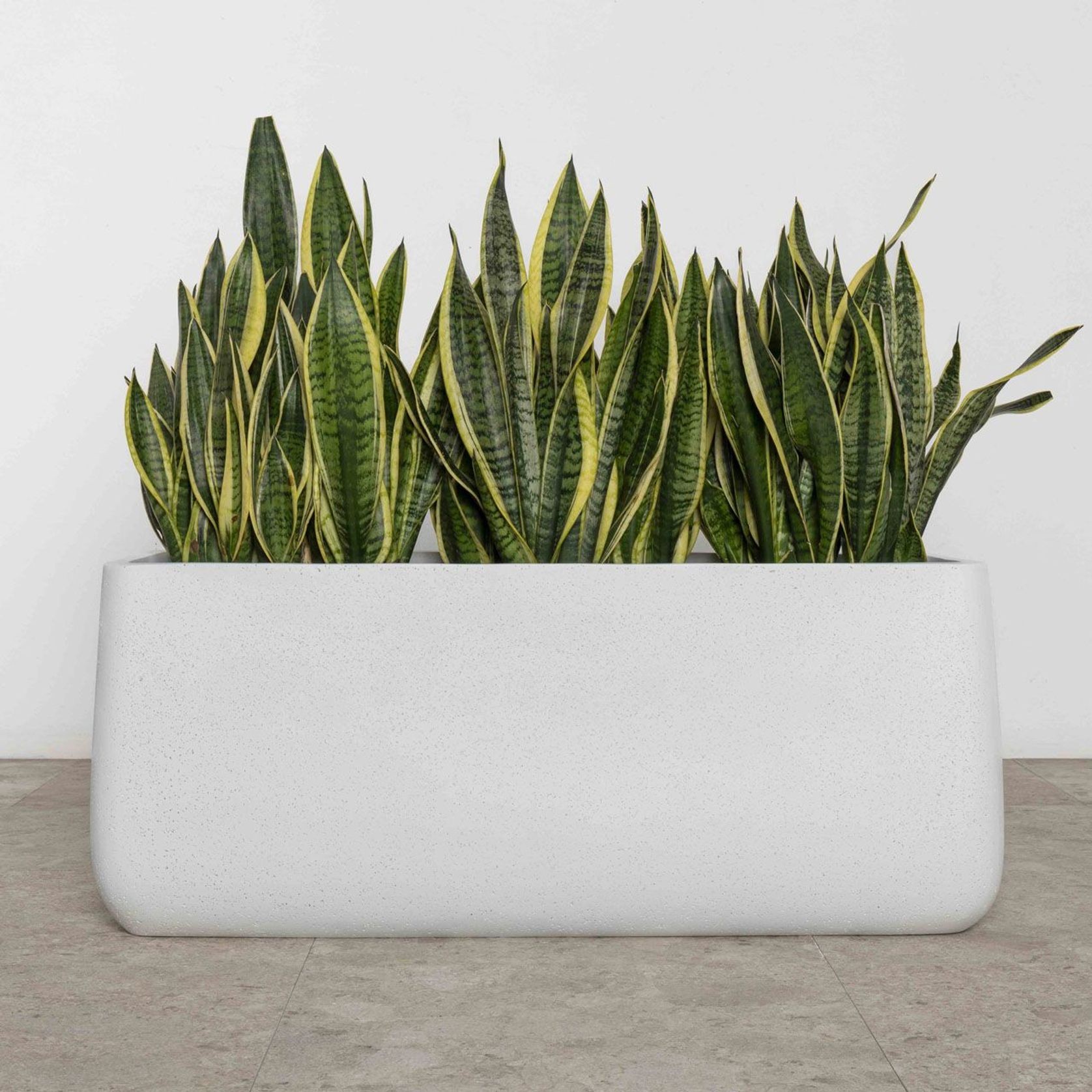 Sardinia Trough gallery detail image