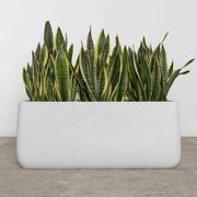 Sardinia Trough gallery detail image