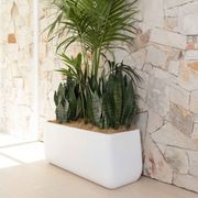 Sardinia Trough gallery detail image