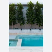 Savana Light Brushed Limestone Tiles gallery detail image