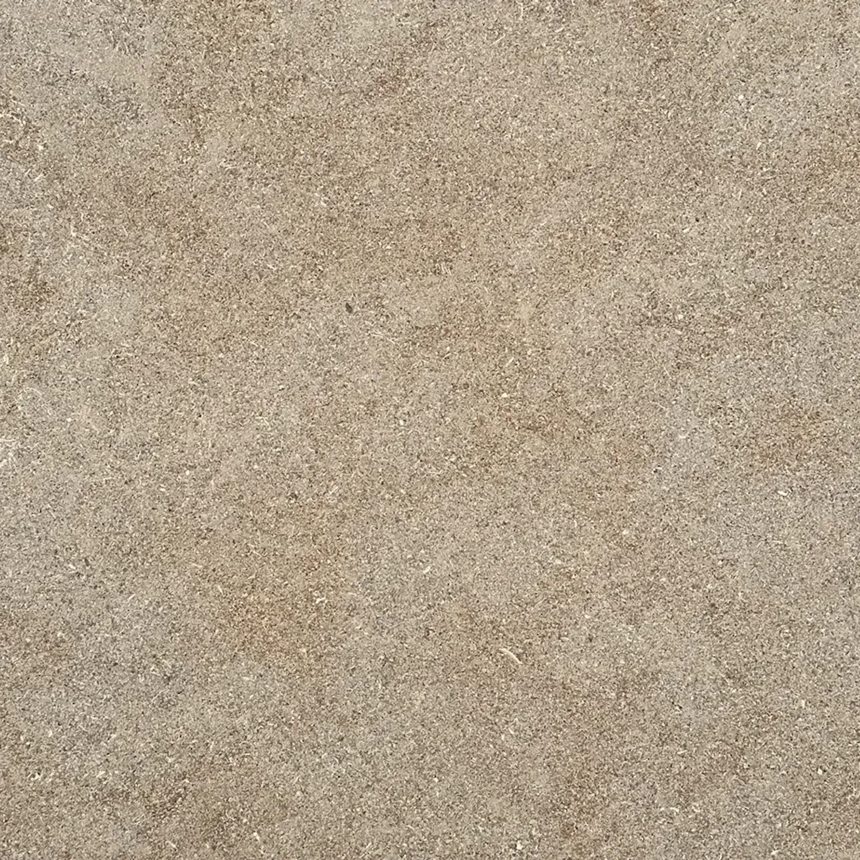 Sierra Limestone Pool Coping gallery detail image