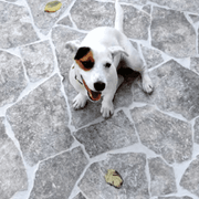 Silver Travertine Crazy Paving gallery detail image