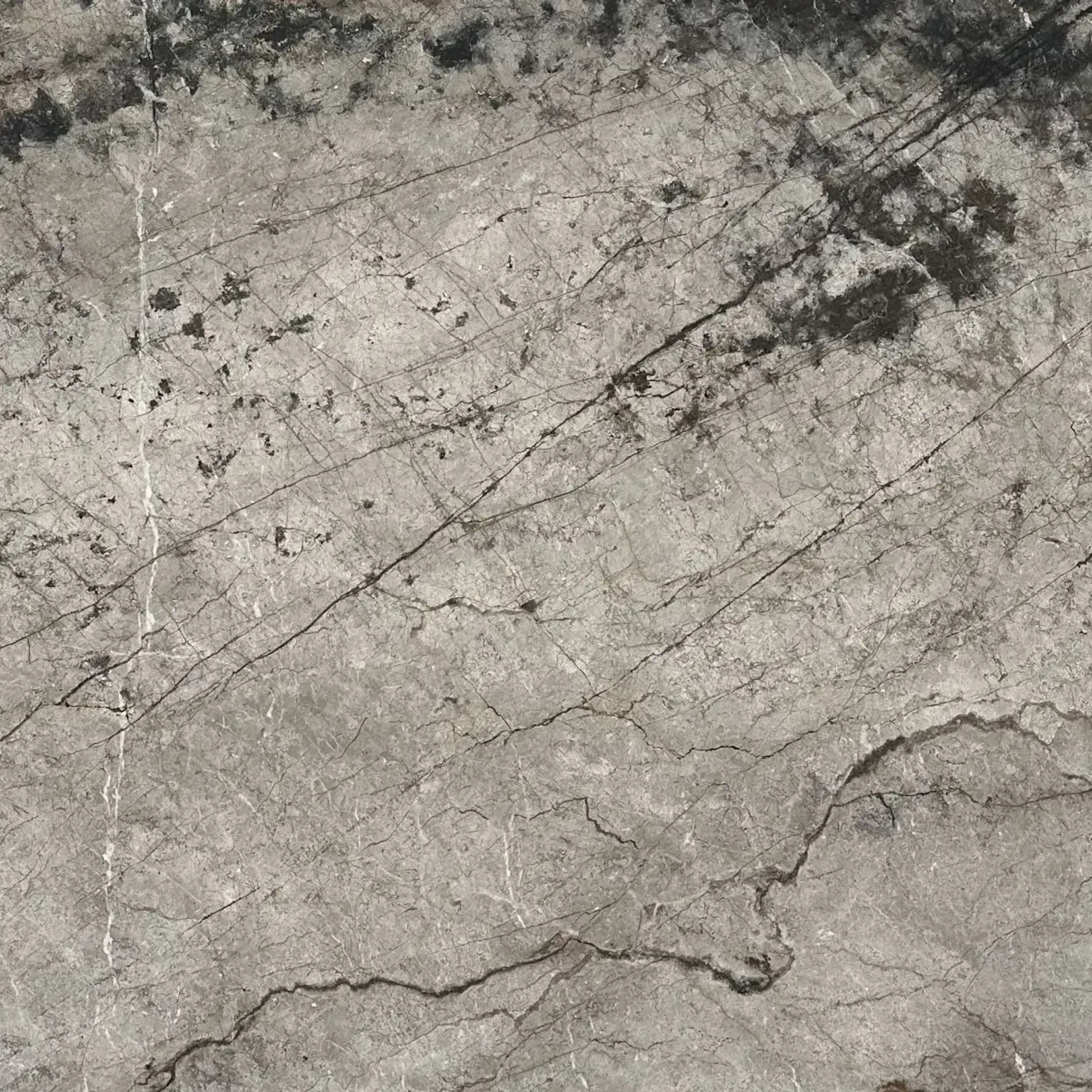 Silver Root Marble Benchtop gallery detail image
