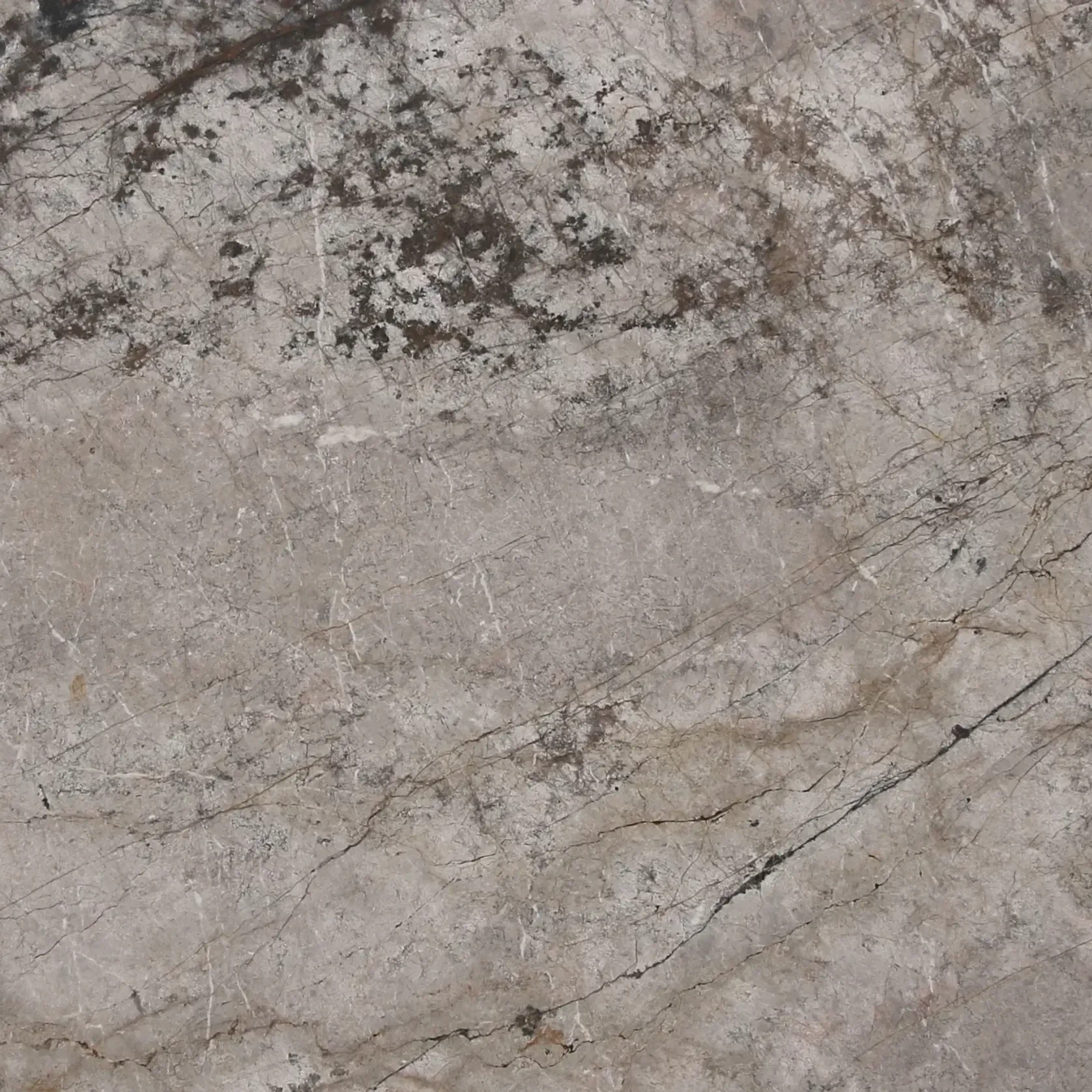 Silver Root Marble Benchtop gallery detail image