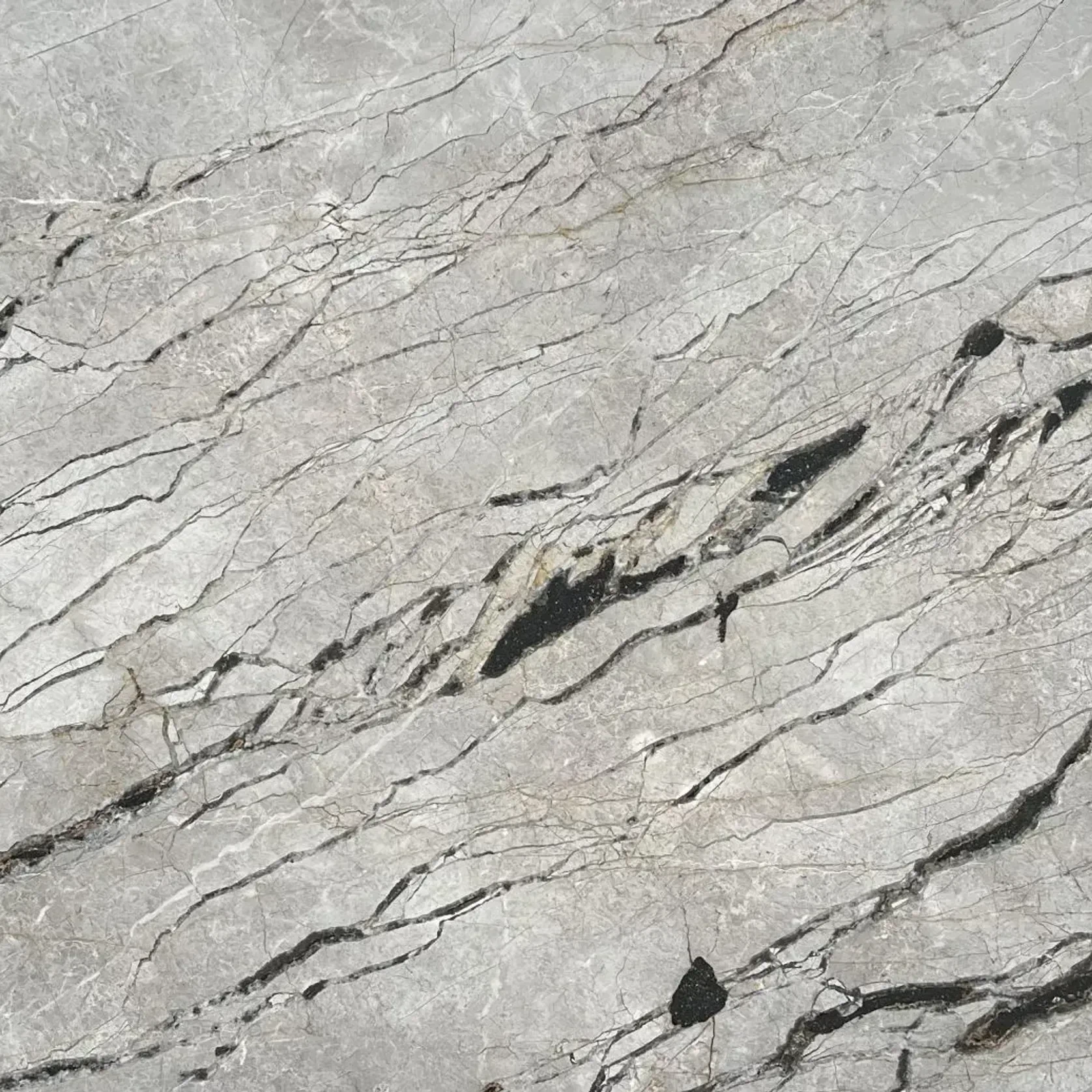 Silver Root Marble Benchtop gallery detail image