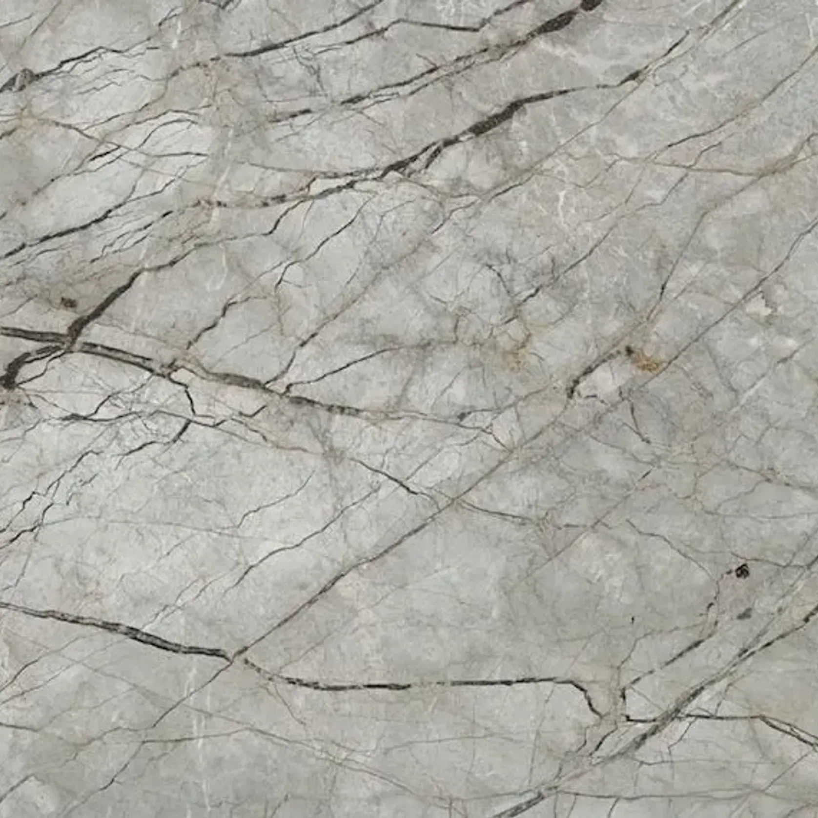 Silver Root Marble Benchtop gallery detail image