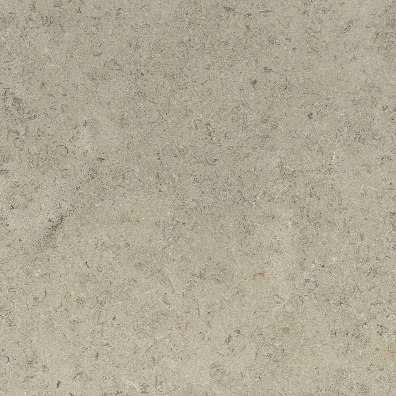 Sinai Pearl Brushed Limestone Tiles gallery detail image