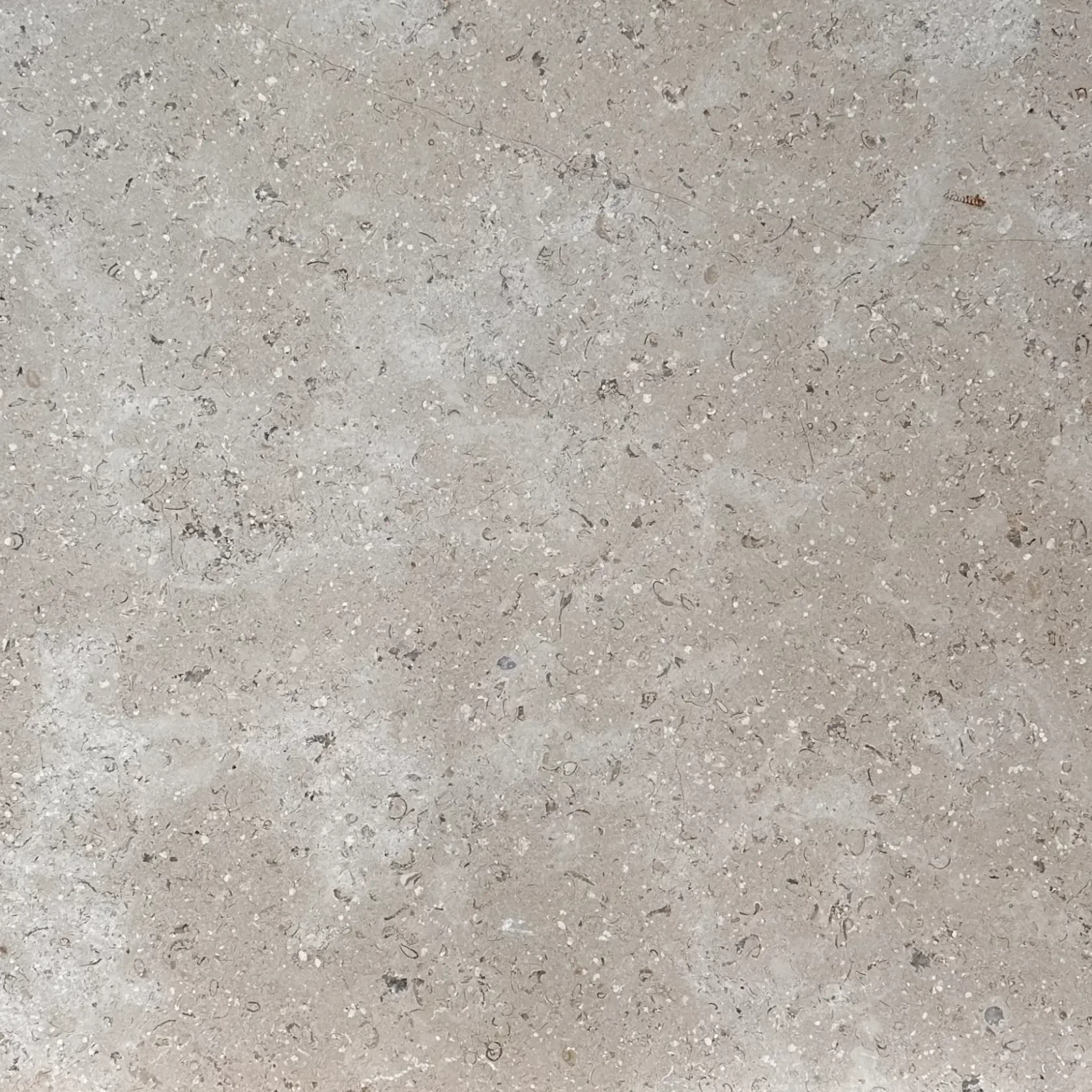Sinai Pearl Brushed Limestone Tiles gallery detail image