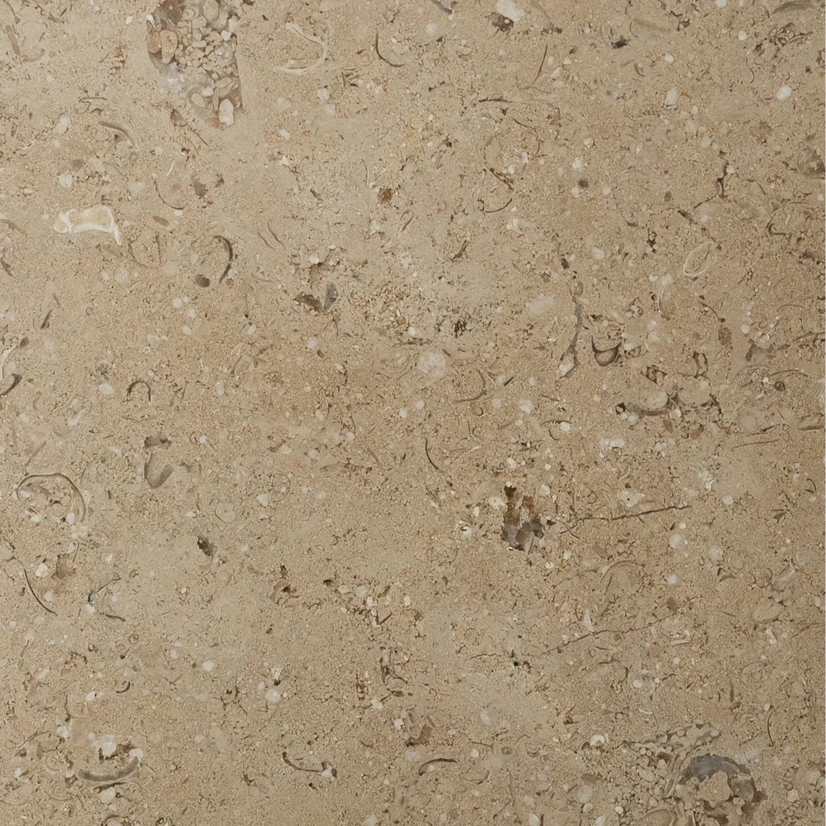 Sinai Pearl Honed Limestone Porcelia gallery detail image