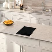 Wolf Module Induction Cooktop 38cm gallery detail image