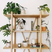 Essential Shelving Unit gallery detail image