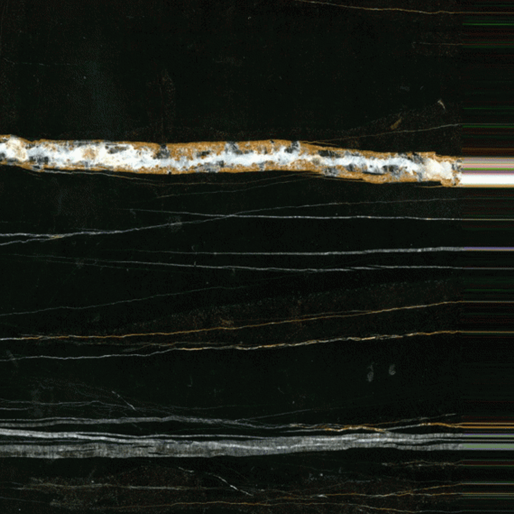 Sahara Noir gallery detail image