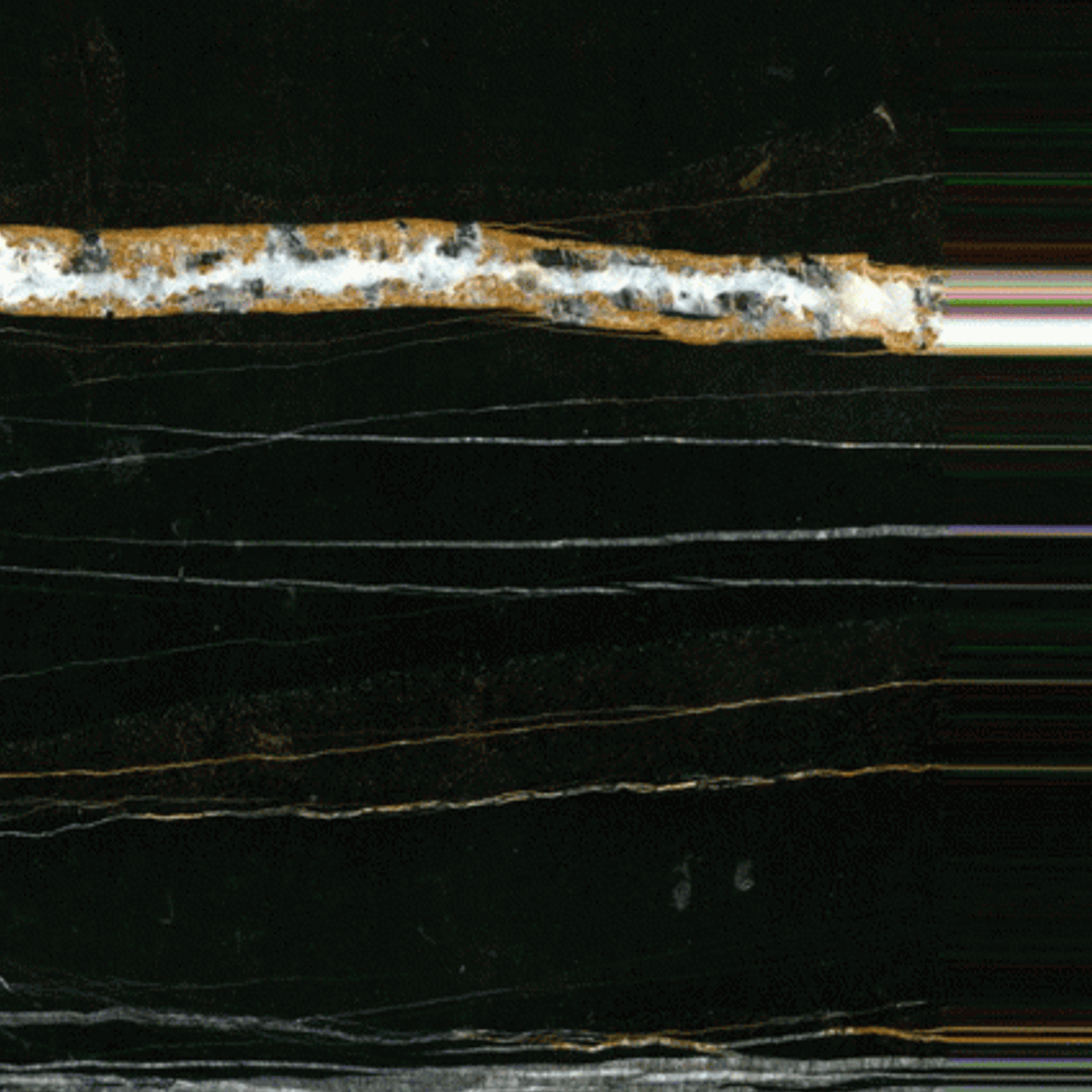 Sahara Noir gallery detail image