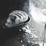 The Salt Oyster Black gallery detail image