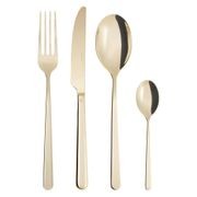 Linear PVD Champagne 24 Piece Set gallery detail image