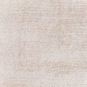 Santushi Rug gallery detail image