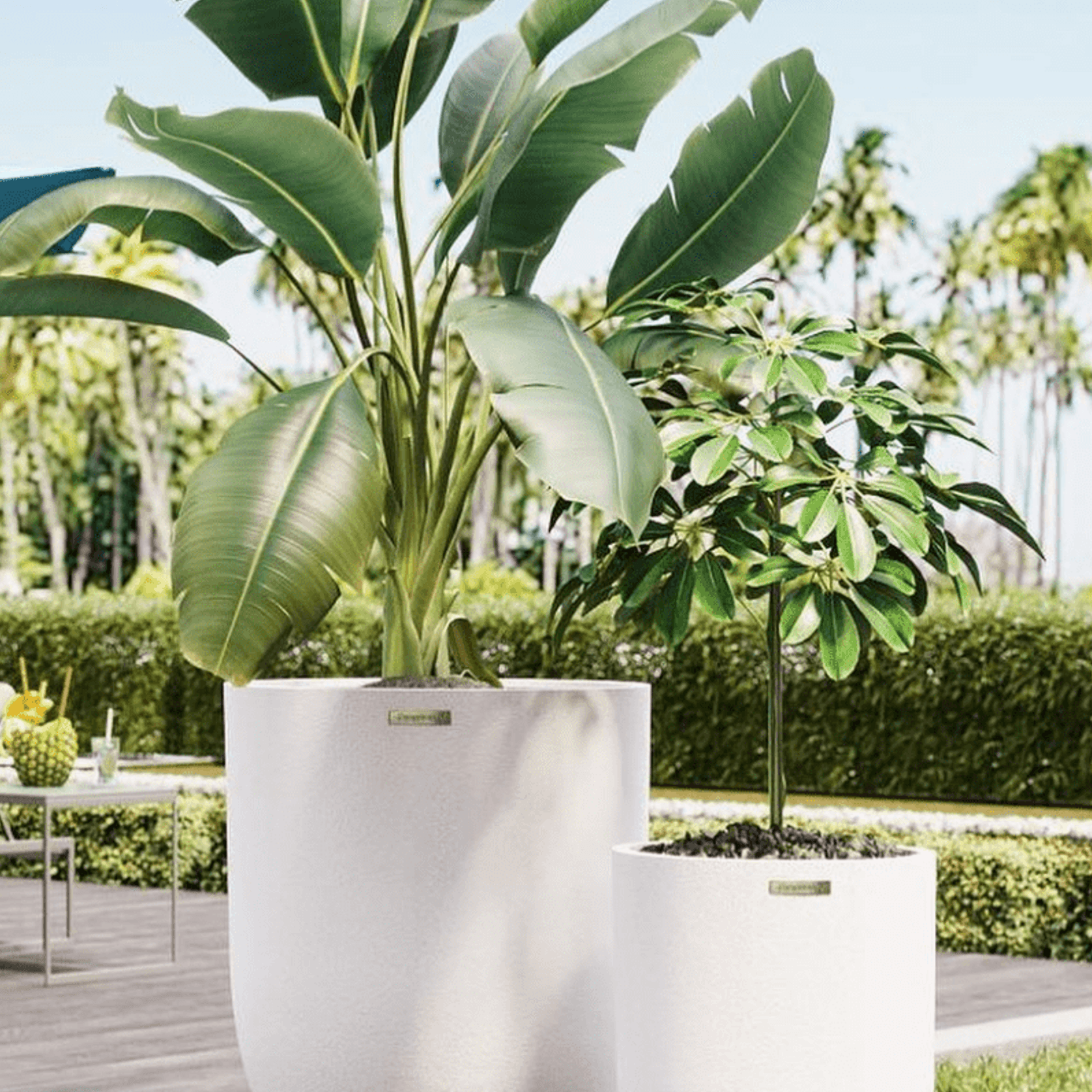 Franoma - Perth Planter gallery detail image