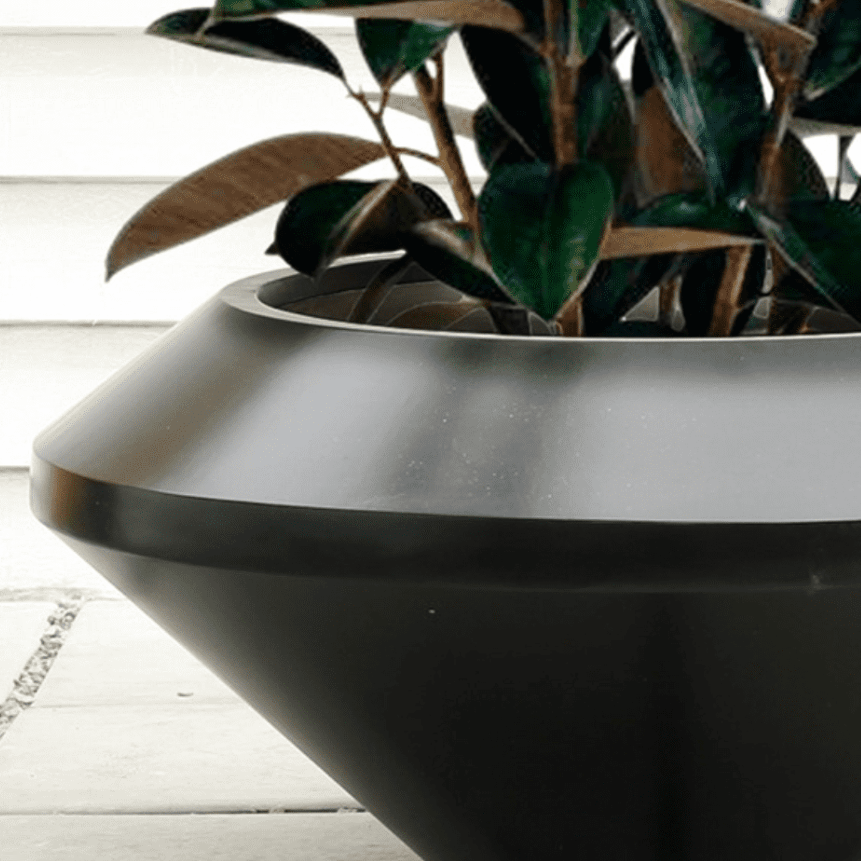 Saucer Planter gallery detail image