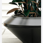 Saucer Planter gallery detail image