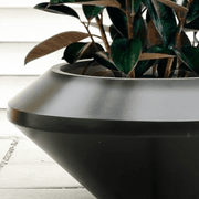 Saucer Planter gallery detail image