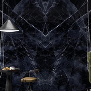 Level Marmi Calacatta Black | Porcelain Panel gallery detail image