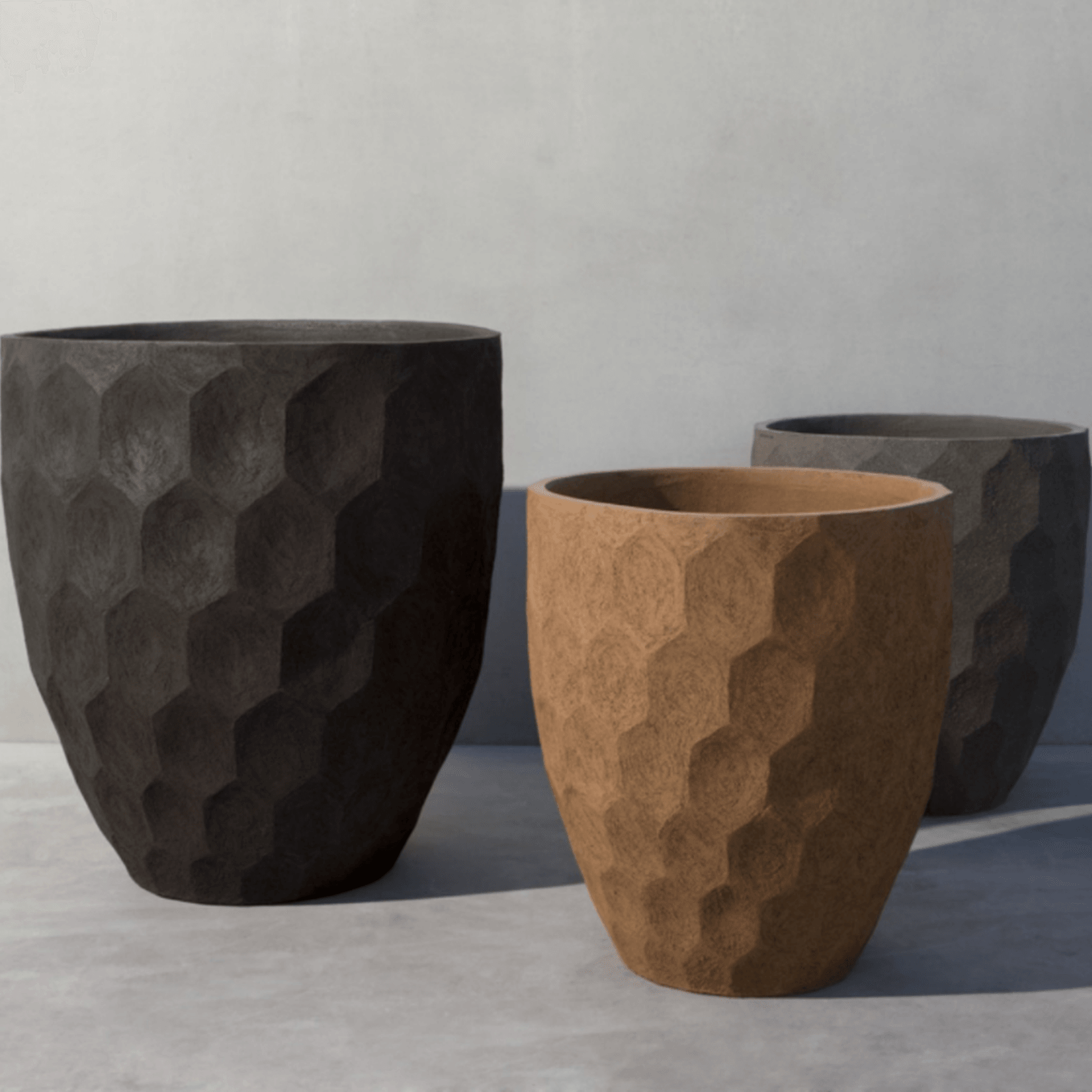 AUO gallery detail image