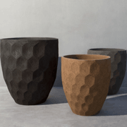 AUO gallery detail image