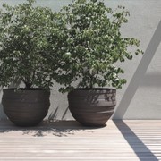 UF gallery detail image