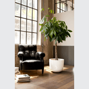 Cup gallery detail image