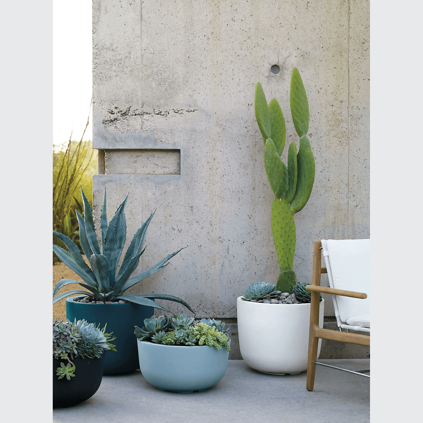 Cup gallery detail image