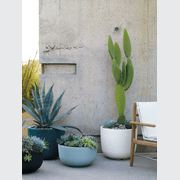 Cup gallery detail image