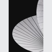 Serpentine gallery detail image