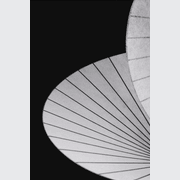 Serpentine gallery detail image