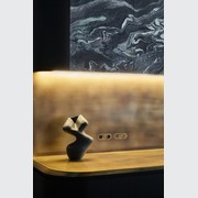 13 Carbon 2 Gang Switch Grid Faceplate gallery detail image