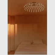 Skynest Ceiling gallery detail image