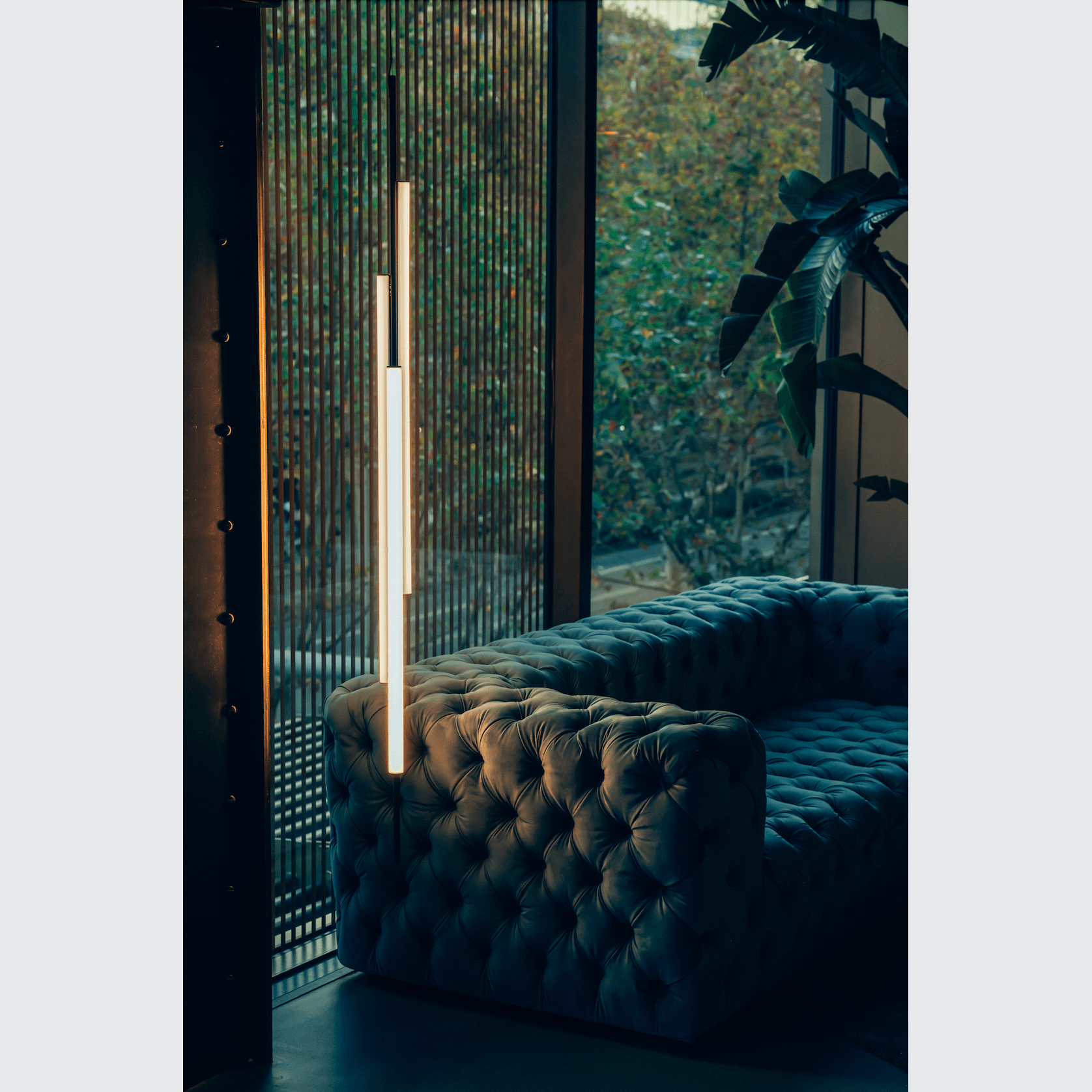 Ambrosia V gallery detail image