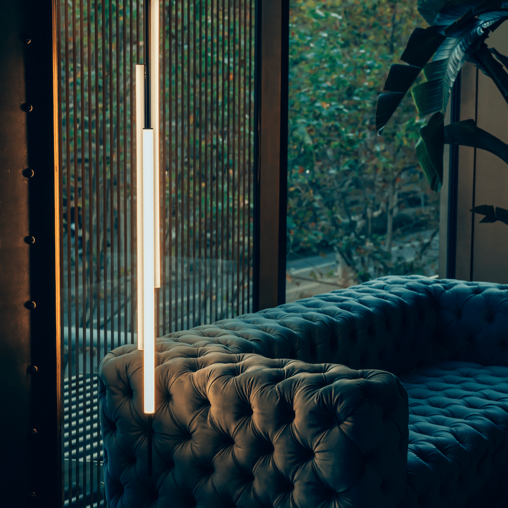 Ambrosia V gallery detail image