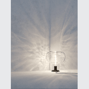 Magic Mushroom gallery detail image