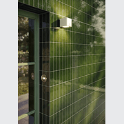 Amore Bosco 150x50mm Gloss gallery detail image