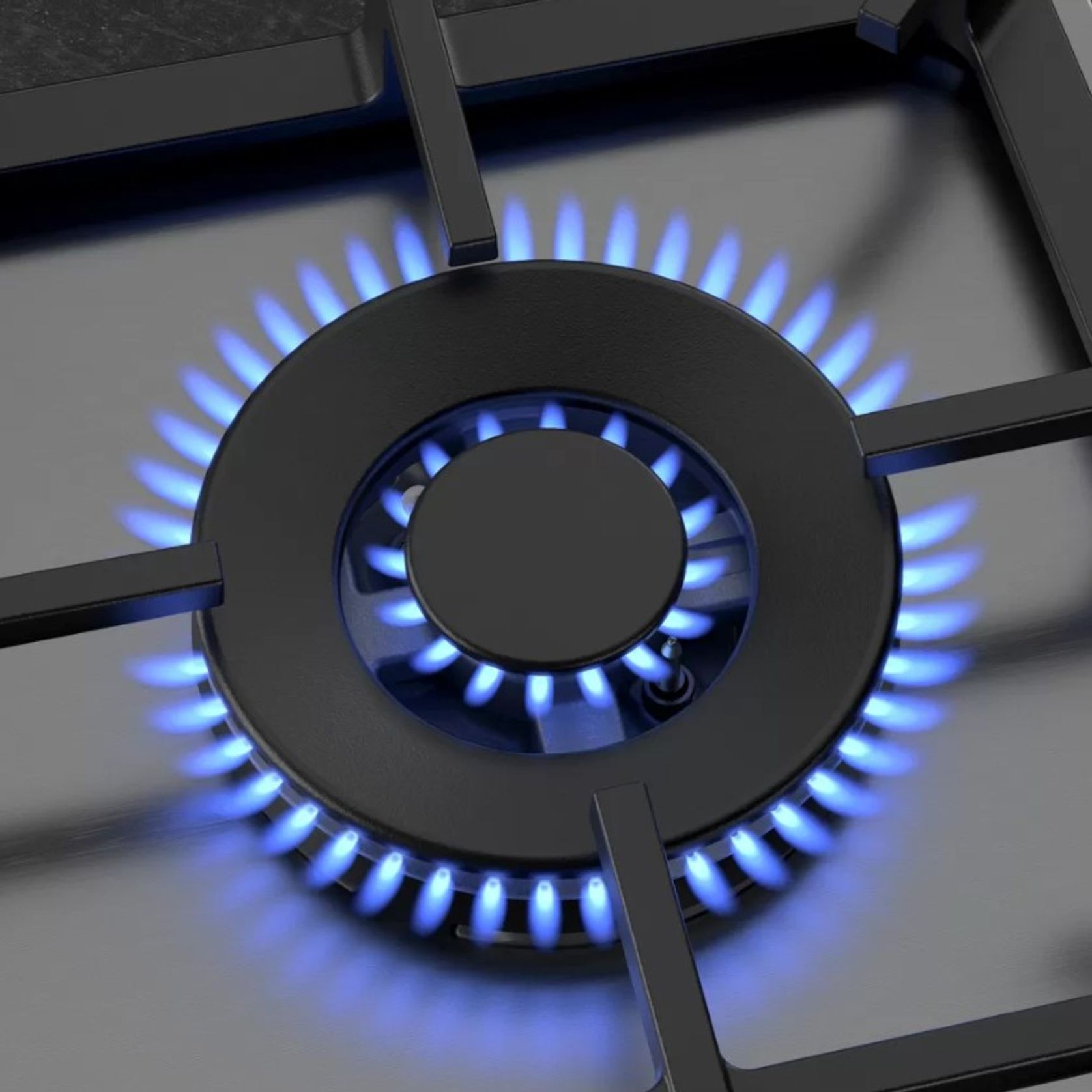 NEFF Gas Cooktop Stainless Steel ArchiPro NZ