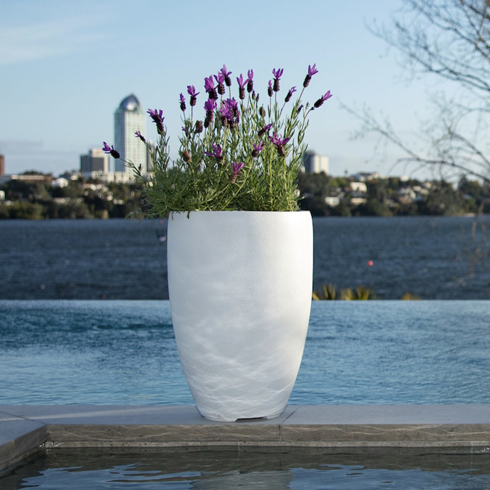 Franoma - Tampa Planter gallery detail image