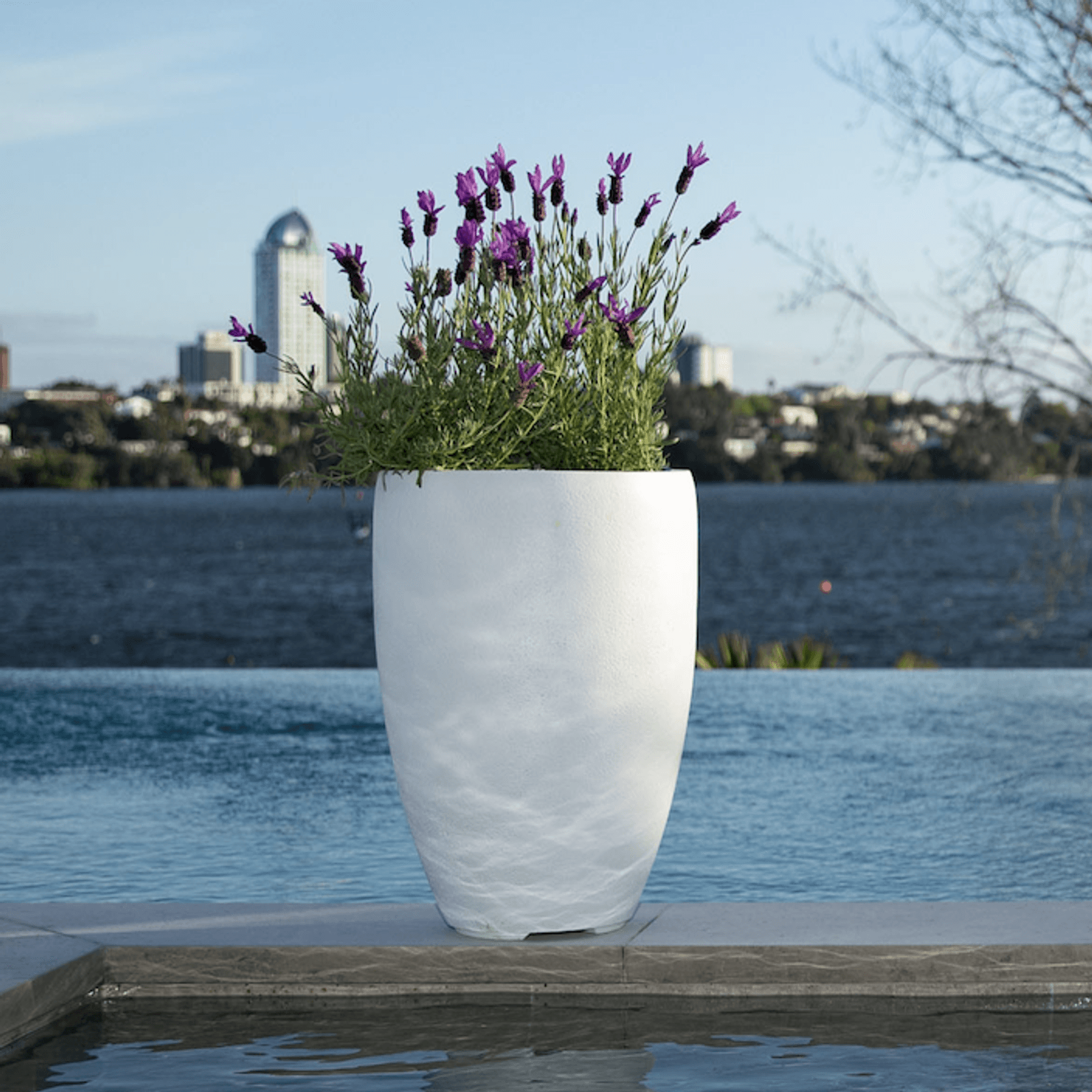 Franoma - Tampa Planter gallery detail image