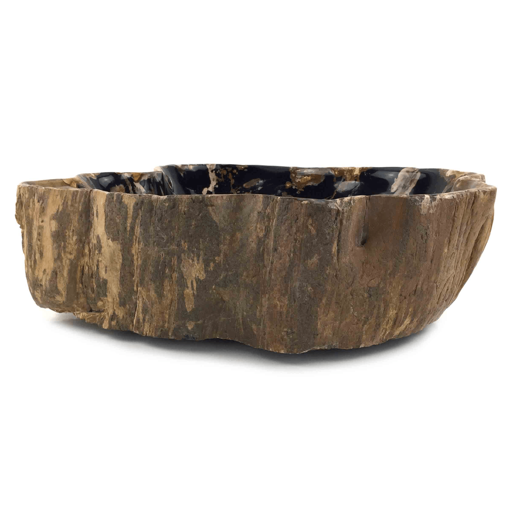 Petrified Wood Stone Basin - Single gallery detail image