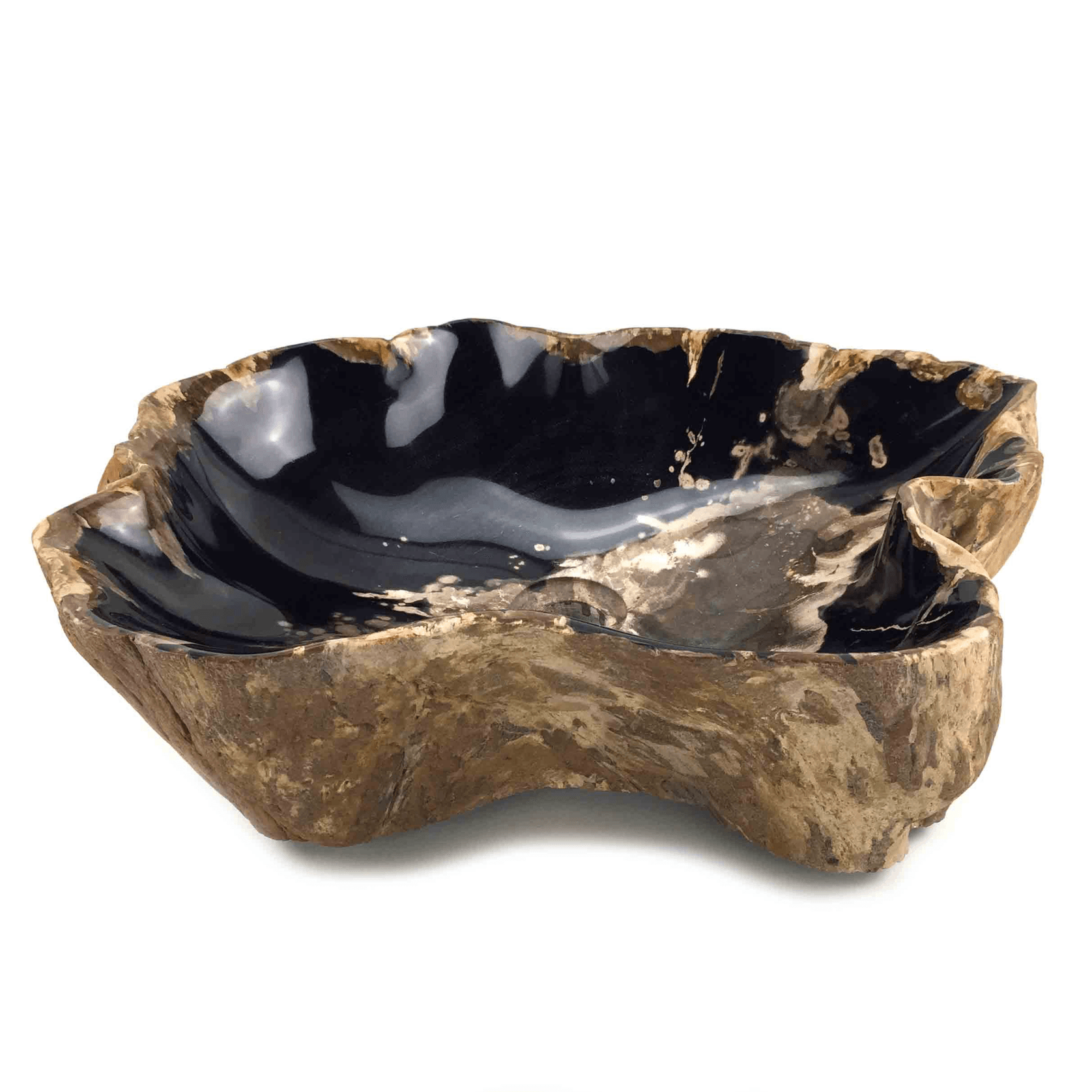 Petrified Wood Stone Basin - Single gallery detail image