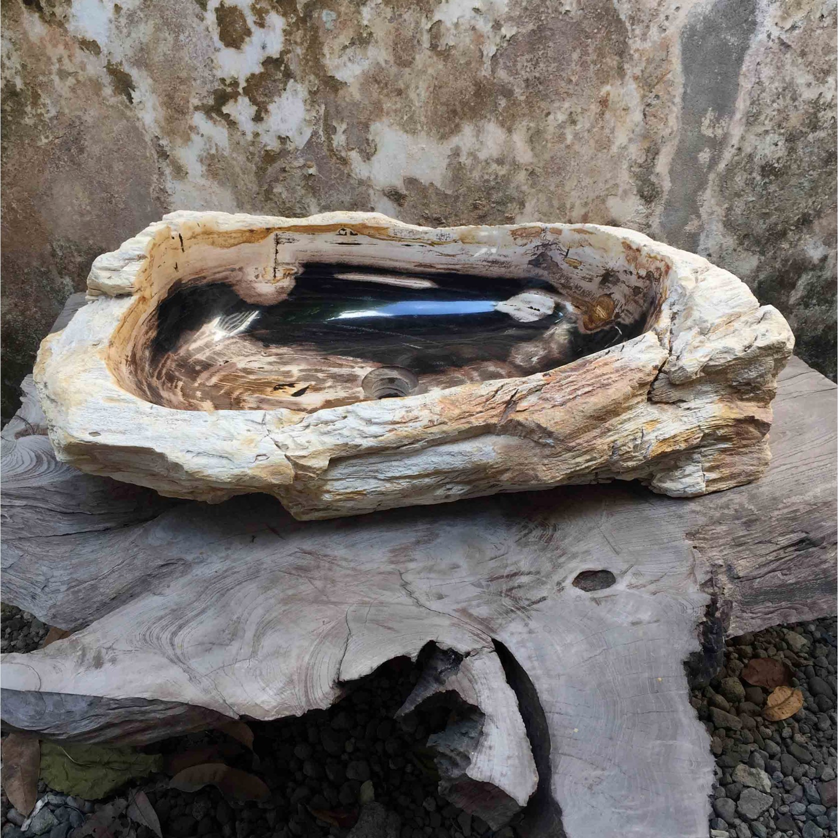 Petrified Wood Stone Basin gallery detail image