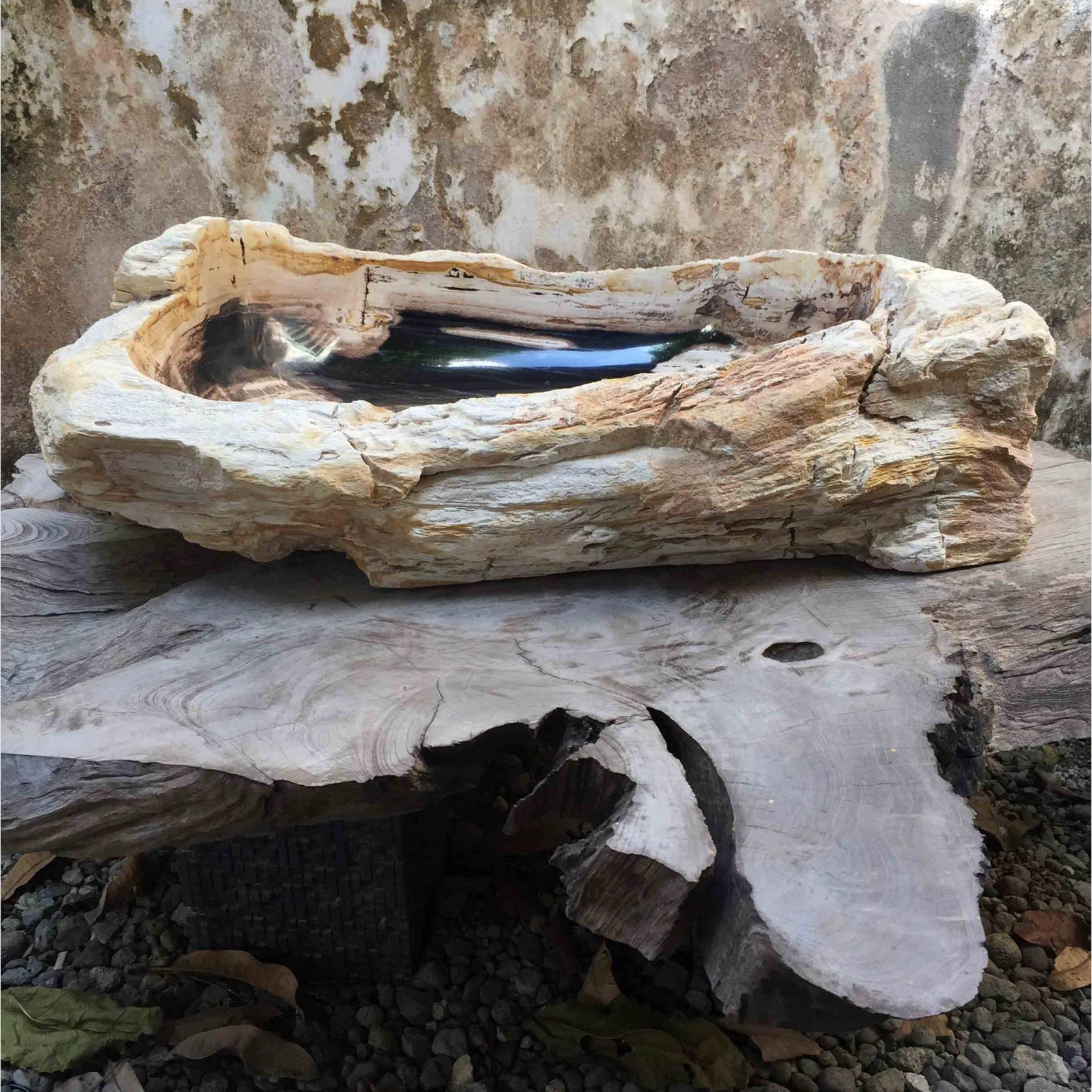 Petrified Wood Stone Basin gallery detail image