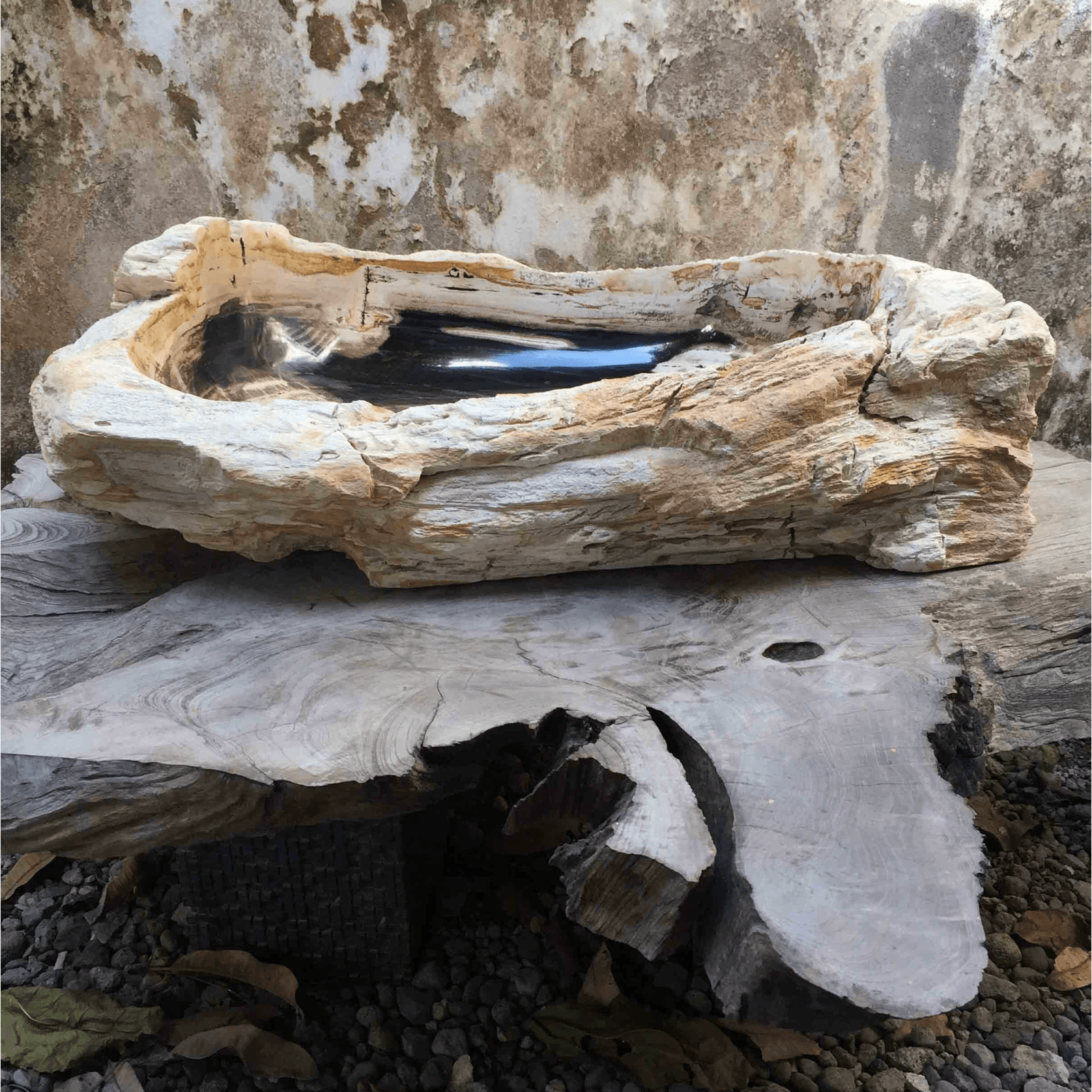 Petrified Wood Stone Basin gallery detail image