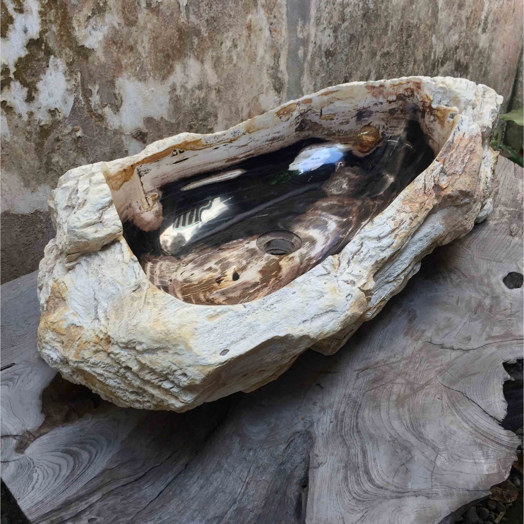 Petrified Wood Stone Basin gallery detail image