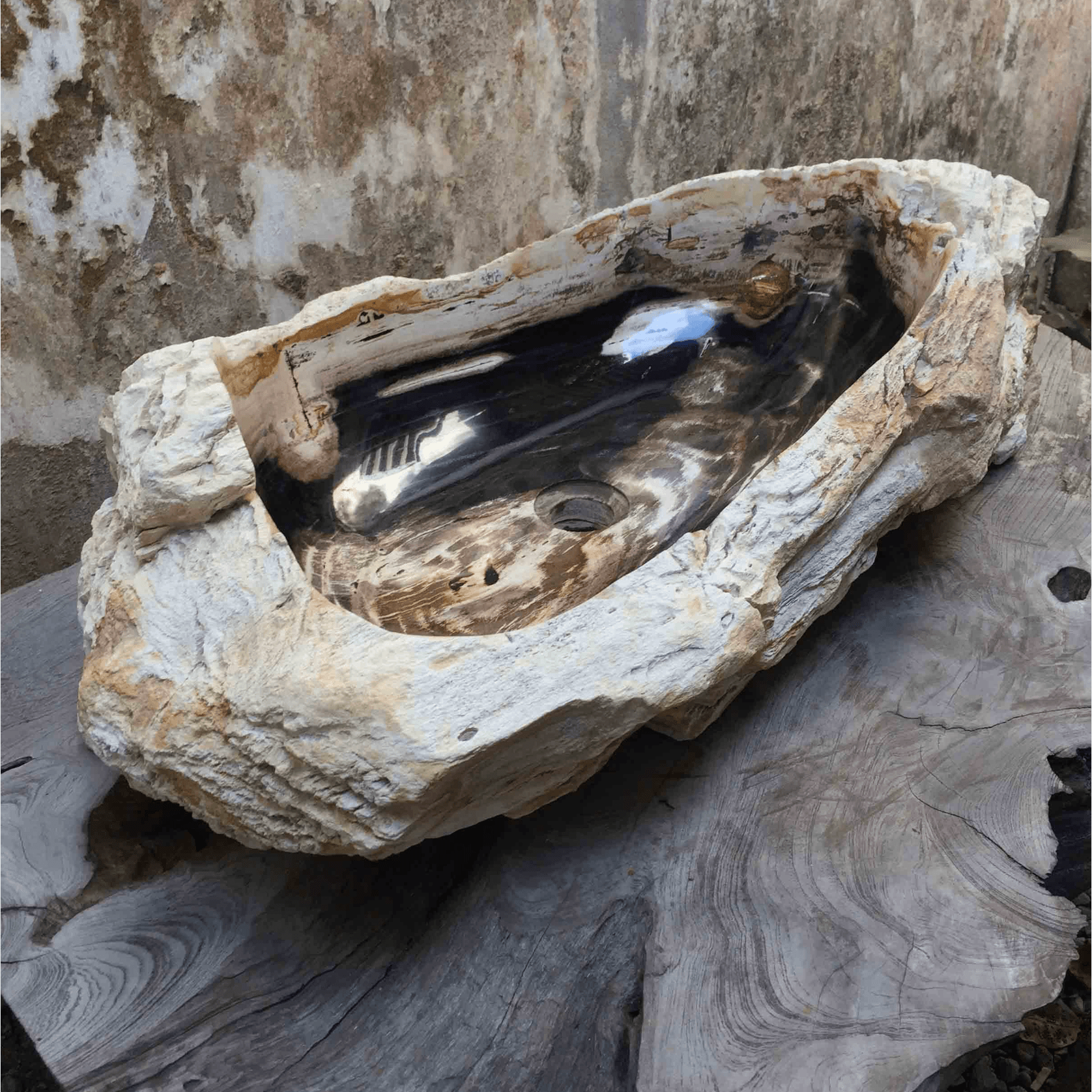 Petrified Wood Stone Basin gallery detail image