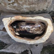 Petrified Wood Stone Basin gallery detail image